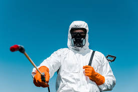 Best Termite Inspection and Treatment  in Harbor Beach, MI